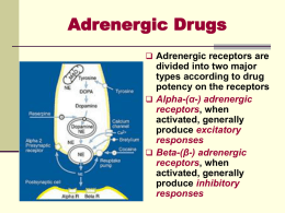 13- Adrenergic drugs-1.ppt