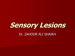 05-Lect.-4 Sensory Lesions Dr.Zahoor.ppt
