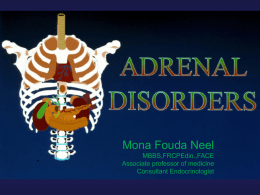Lecture 14-Adrenal Disorders.ppt
