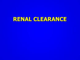 L3- Renal clearance.ppt