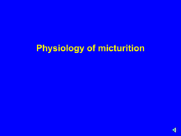L4- physiology of micturition.pptx