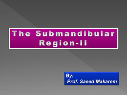 15-Submandibular Region-II.ppt
