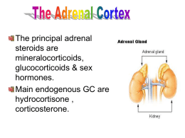 corticosteroids1.ppt