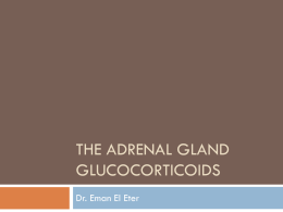 Lecture 11- Adrenal gland+.ppt