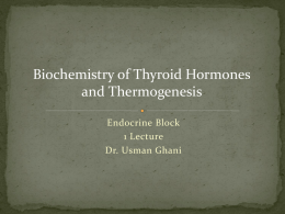 2-Thyroid Hormones.ppt