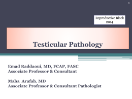 Lecture 1- Testicular Pathology.pptx