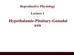 01 Lecture 1.ppt