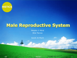 male reproductive system.ppt