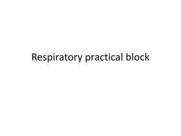 Lecture 1 - Practical pathology.ppt