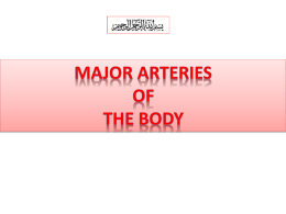 Lecture 2- Major arteries of the body.pptx