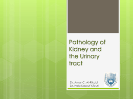 Lecture 6 Pathology of Renal Transplantation.ppt