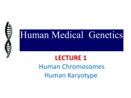 Foundation_Genetics_Lec1_Chromosomes_2010-2011[2].ppt