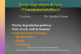 Lecture 4- Purine degradation-Gout.ppt