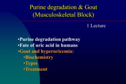 L4-2 Purine degradation-Gout.ppt