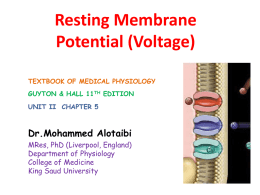 L2-Resting membrane potential.ppt