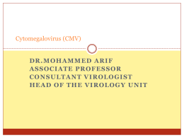 12- Cytomegalovirus (CMV).ppt
