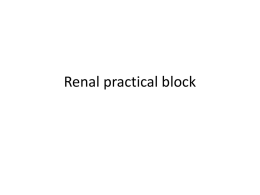renal practical I.ppt