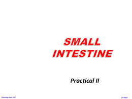 L4-Intestine.pptx