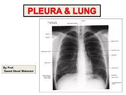 lec3.Pleura &Lung.ppt