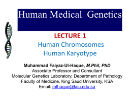 01 Genetics_Chromosomes_Karyotyping.ppt