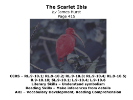 scarlet ibis p. 415