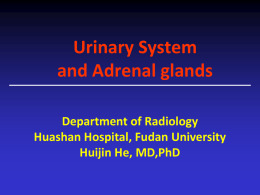 Urinary system and Adrenals.ppt