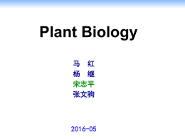 20160511 植物生长物质.ppt