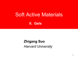 2010 05 10 soft active materials II. gels.ppt