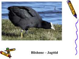 Pattedyr og fugle 2012.ppt