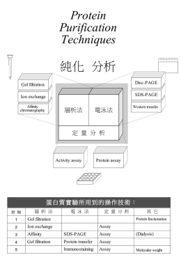 A 種流程圖 PowerPoint file