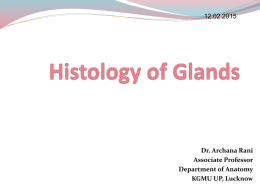 Histology of Glands [PPT]