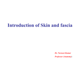 Introduction of Skin and Fascia [PPT]
