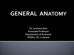 Introduction of Anatomy [PPT]