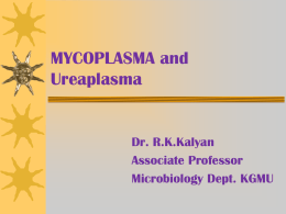 Mycoplasma Ureaplasma Lecture [PPT]