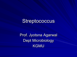 Streptococcus [PPT]