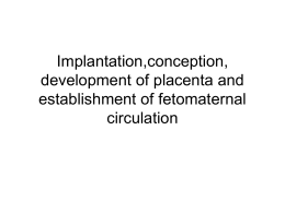 Implantation, conception, development of placenta and establishment of fetomaternal circulation [PPT]
