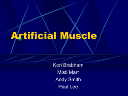 Artificial Muscle Presentation.ppt