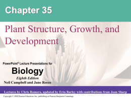 Chapter 35 PowerPoint - Structure