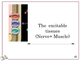Lecture2 .nerve.ppt