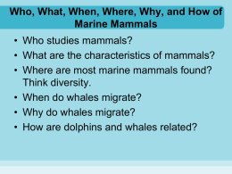 Chapter 12 - marine mammals
