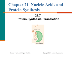 7. Protein Synthesis and Translation