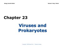 ch23 lecture viruses   prokaryotes
