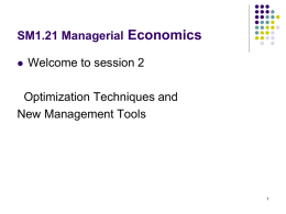 Optimization Techniques and New Management Tools.ppt