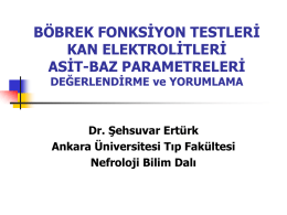 BFT-Elektrolit