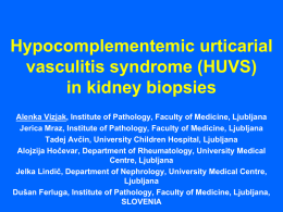 Hypocomplementemic urticarial vasculitis syndrome (HUVS) in kidney biopsies (PPTX / 18958.44 KB) - big file, download may take a while
