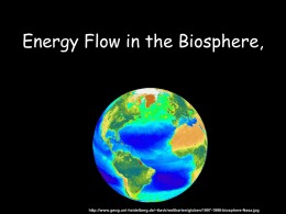 biosphere food chains and energy transfer redux