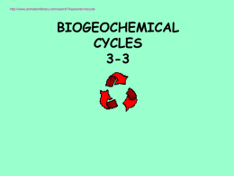 3.3 notes biogeochemical cycling