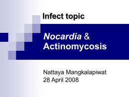 Nocardia _Actinomycosis.ppt
