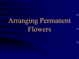 Permanent Flowers #20.ppt