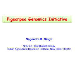 (i) N.K. Singh